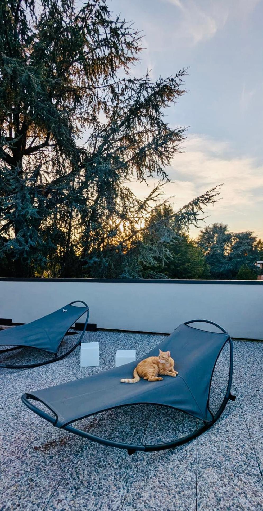 The Luxory Cat Bed & Breakfast Milan Exterior photo