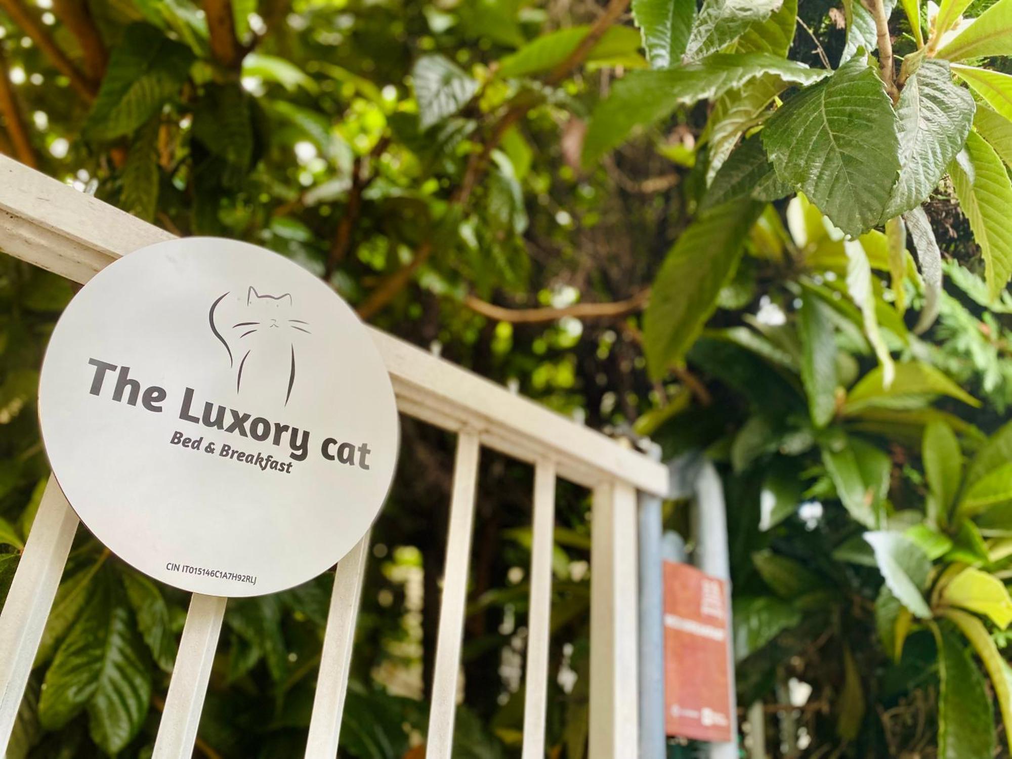 The Luxory Cat Bed & Breakfast Milan Exterior photo